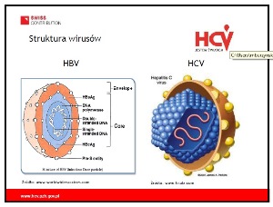 Materiały szkoleniowe - „postępowanie z pacjentem z wirusowym zapaleniem wątroby typu C oraz epidemiologia i prewencja zakażeń HCV”
